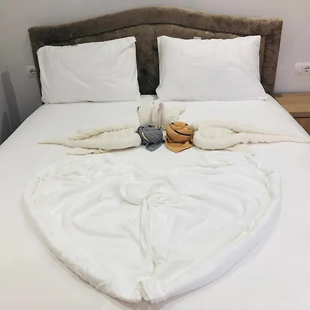 Panoramic Ana Apartament *