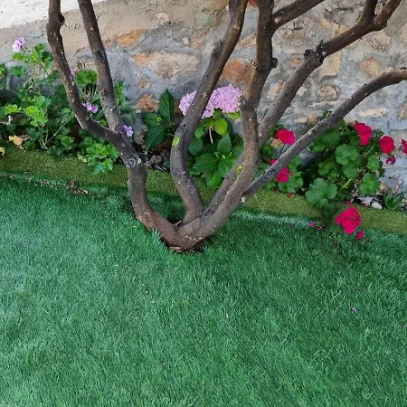 Panoramic Ana Apartamento Sarandë